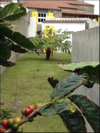 Villa Casa Auri Faial da Terra Exterior foto